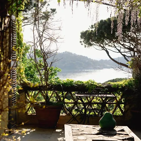 Galli Luxe *
